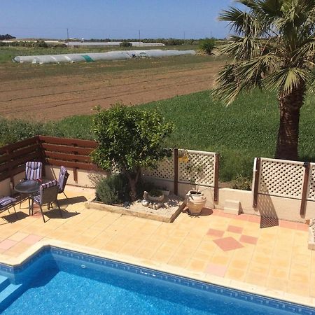 Quality Villa With Pool In Superb Location In Paphos Mandria  Exterior foto